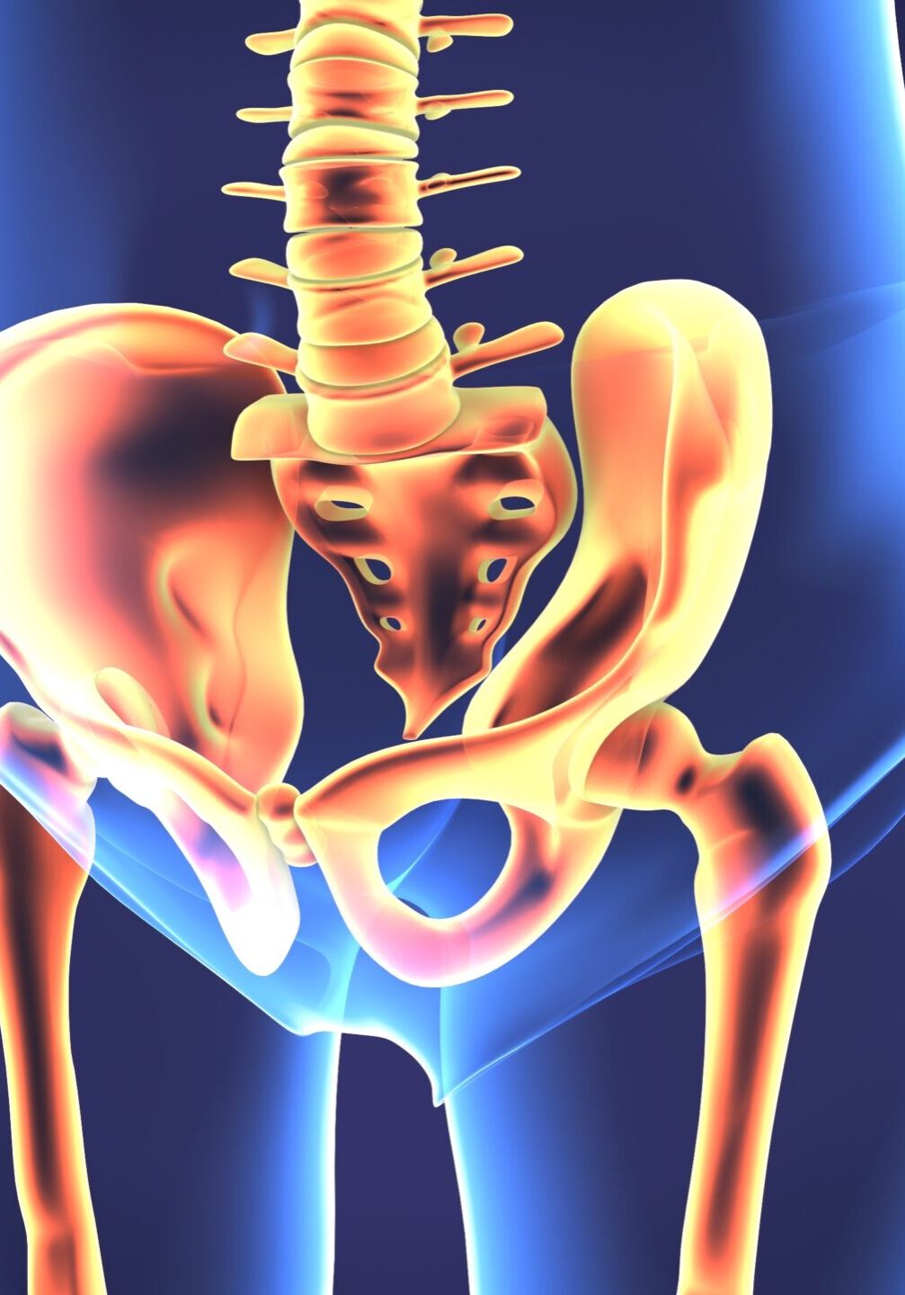 3d illustration of human body hip joint anatomy
