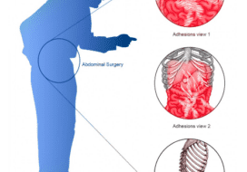 Screenshot 2024-10-01 163707